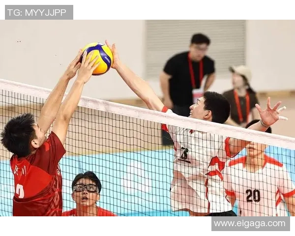 深圳排球队的崛起与发展:聚焦力量与团队精神的完美结合