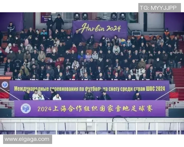 南京网球队与重庆网球队赛后复盘探讨团队协作的成功与不足之处